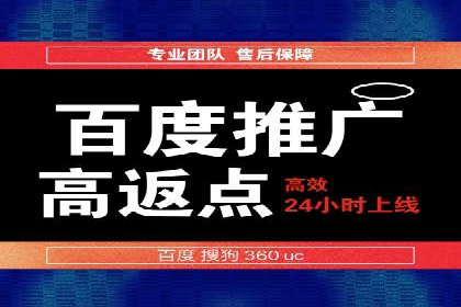 经典案例：SEM代运营服务公司的成功之路
